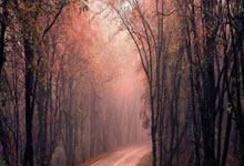 周继红卸任，这三个人最有可能接替她的位置！.