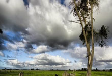 “NBA球员联盟与联盟达成新集体协议，球员权益得到保障”.