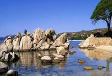 ESPN疯三夺冠赔率：杜克领衔，佛大&休斯顿&奥本位列二三四51.